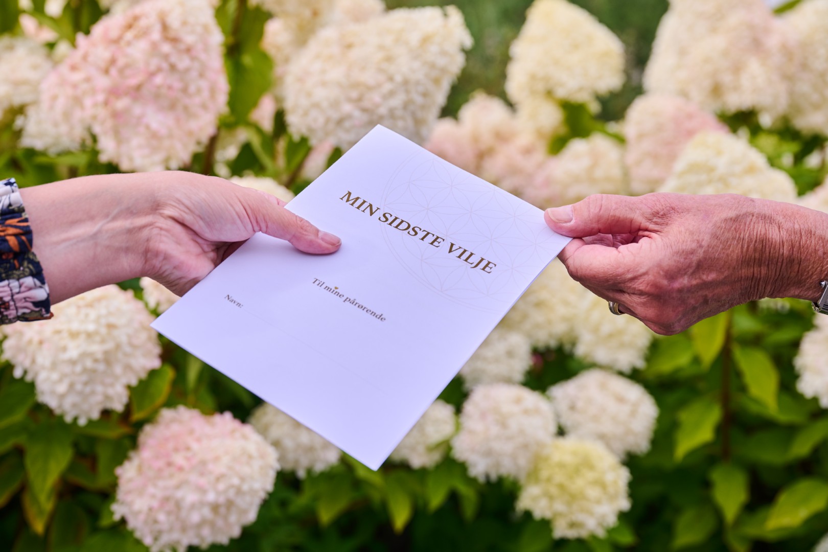 Nordkystens Bedemand - Kim og Rikke - Min sidste vilje (2)